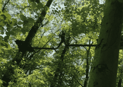 Azubi-Tag Altenhilfe