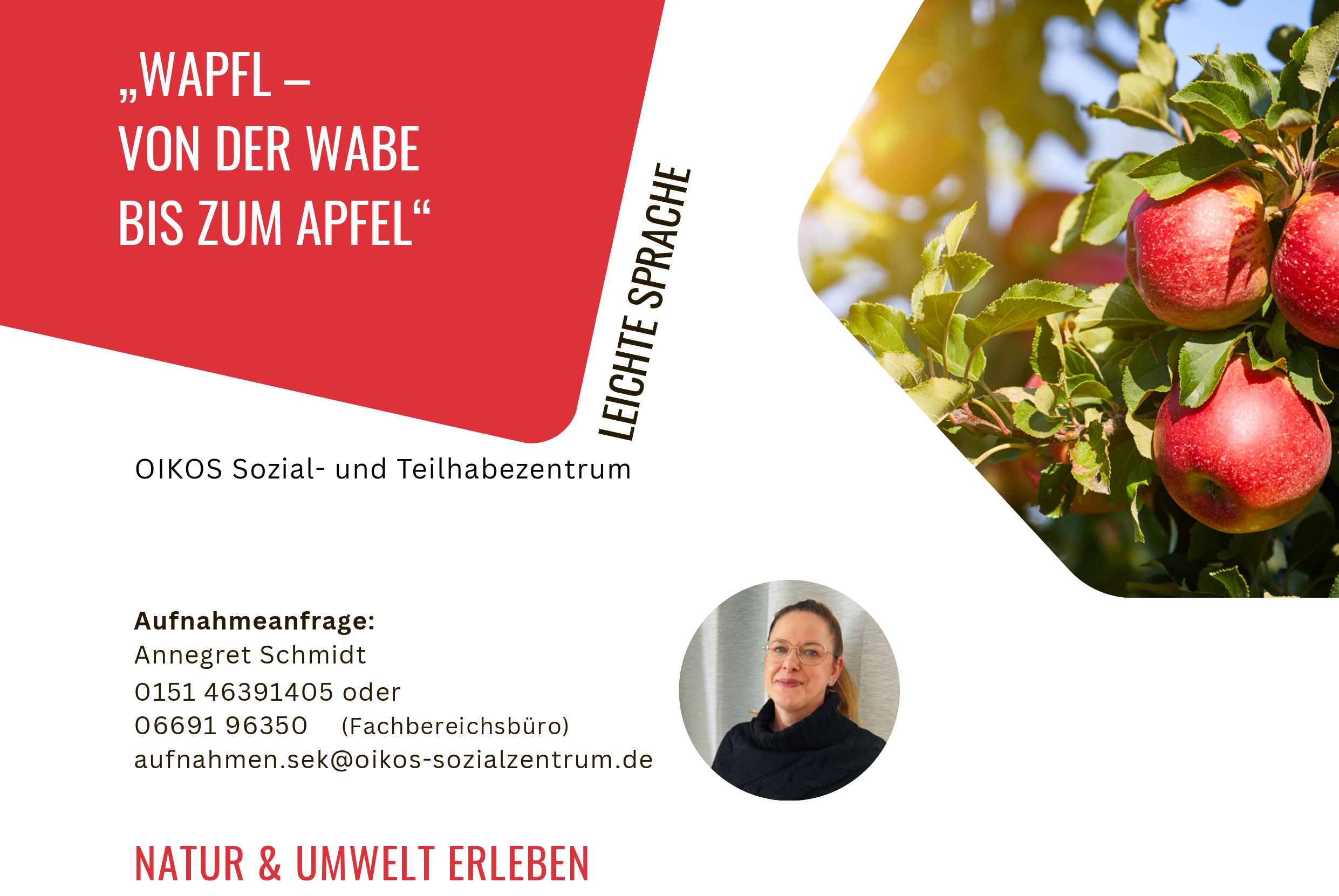 Bildausschnitt OnePager Angebot WAPFL