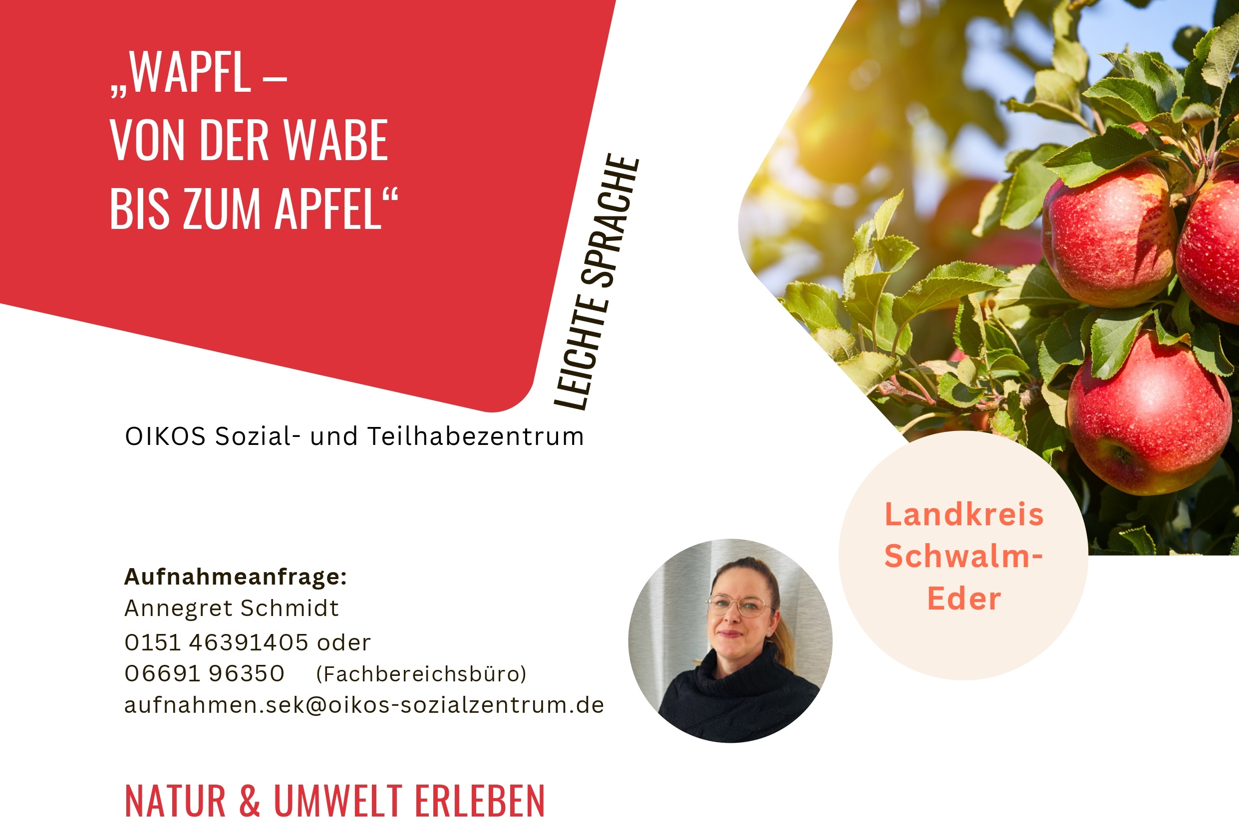 Bildausschnitt OnePager Angebot WAPFL